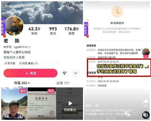 老陈最新爆料消息视频,最新爆料视频深度解析 第3张 老陈最新爆料消息视频,最新爆料视频深度解析 第3张